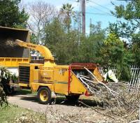 Affordable Dan's Tree Services image 1